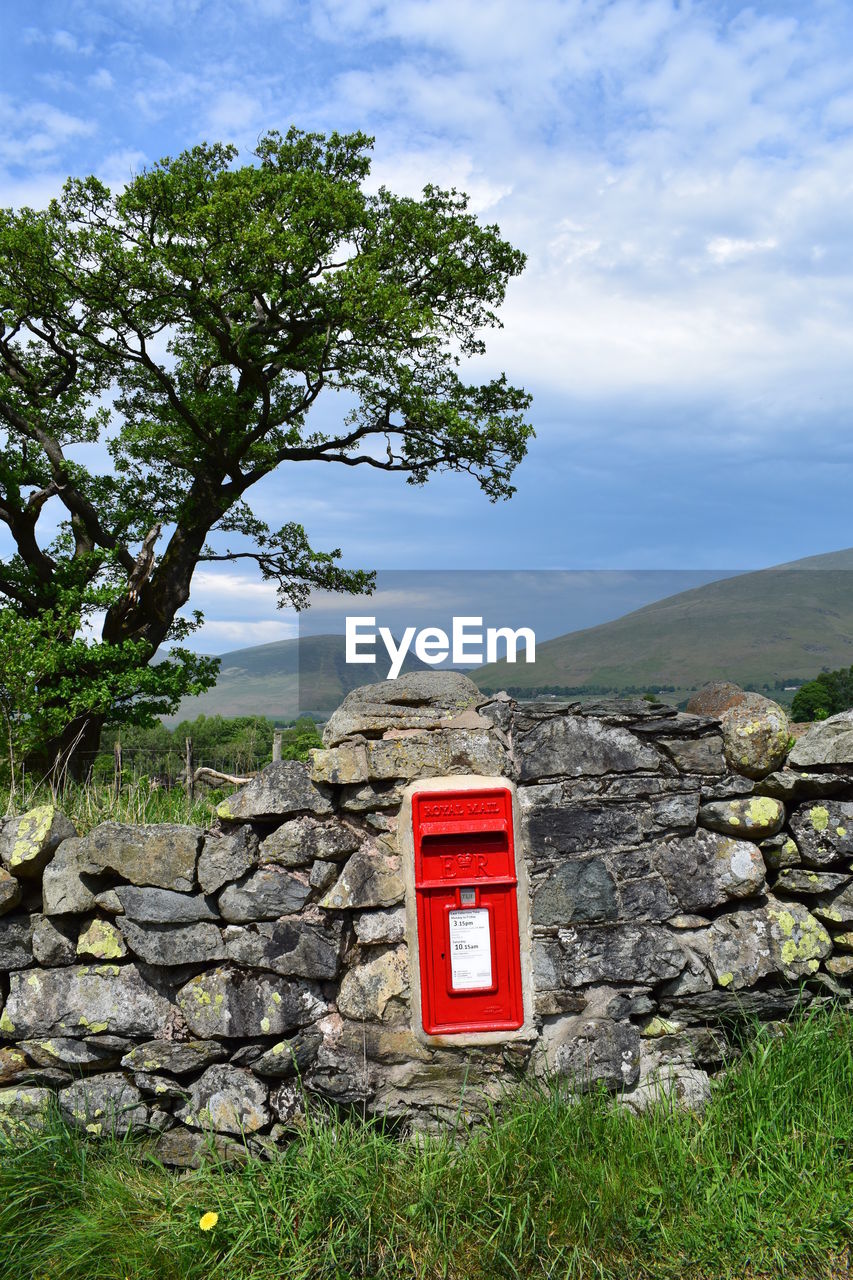 Information sign on tree by mountain against sky