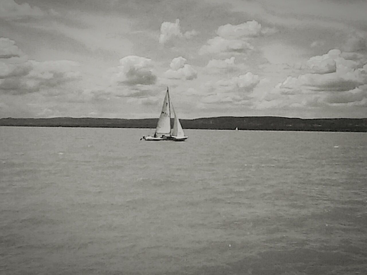 SAILBOAT SAILING IN SEA