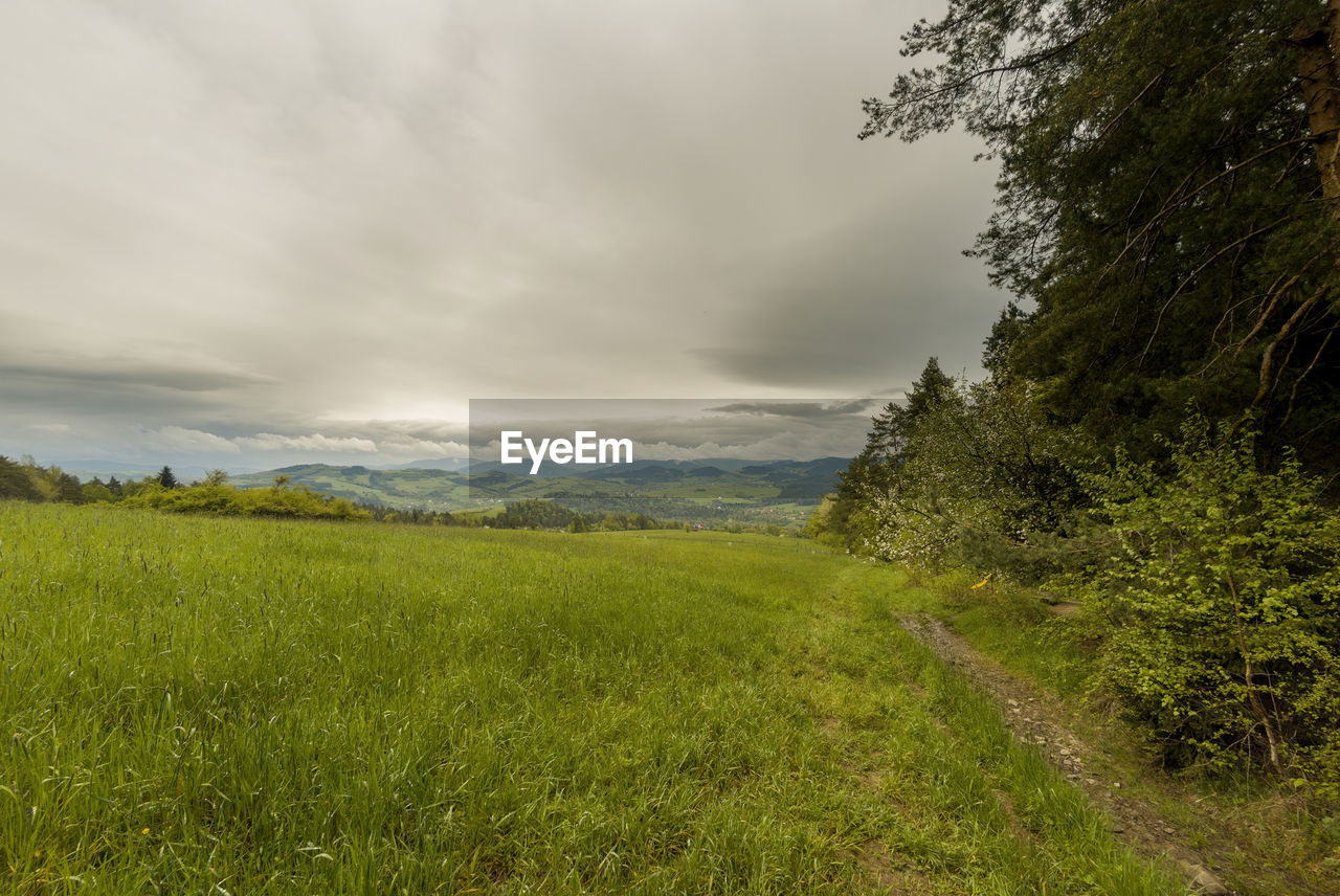 SCENIC VIEW OF FARM AGAINST SKY