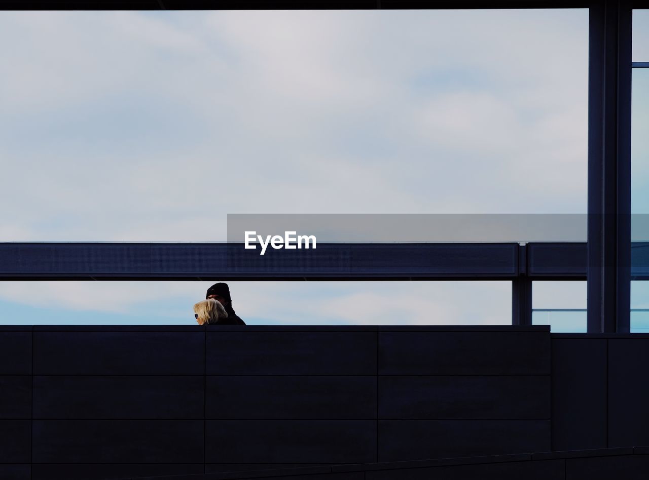 LOW ANGLE VIEW OF BIRD PERCHING ON WINDOW AGAINST SKY