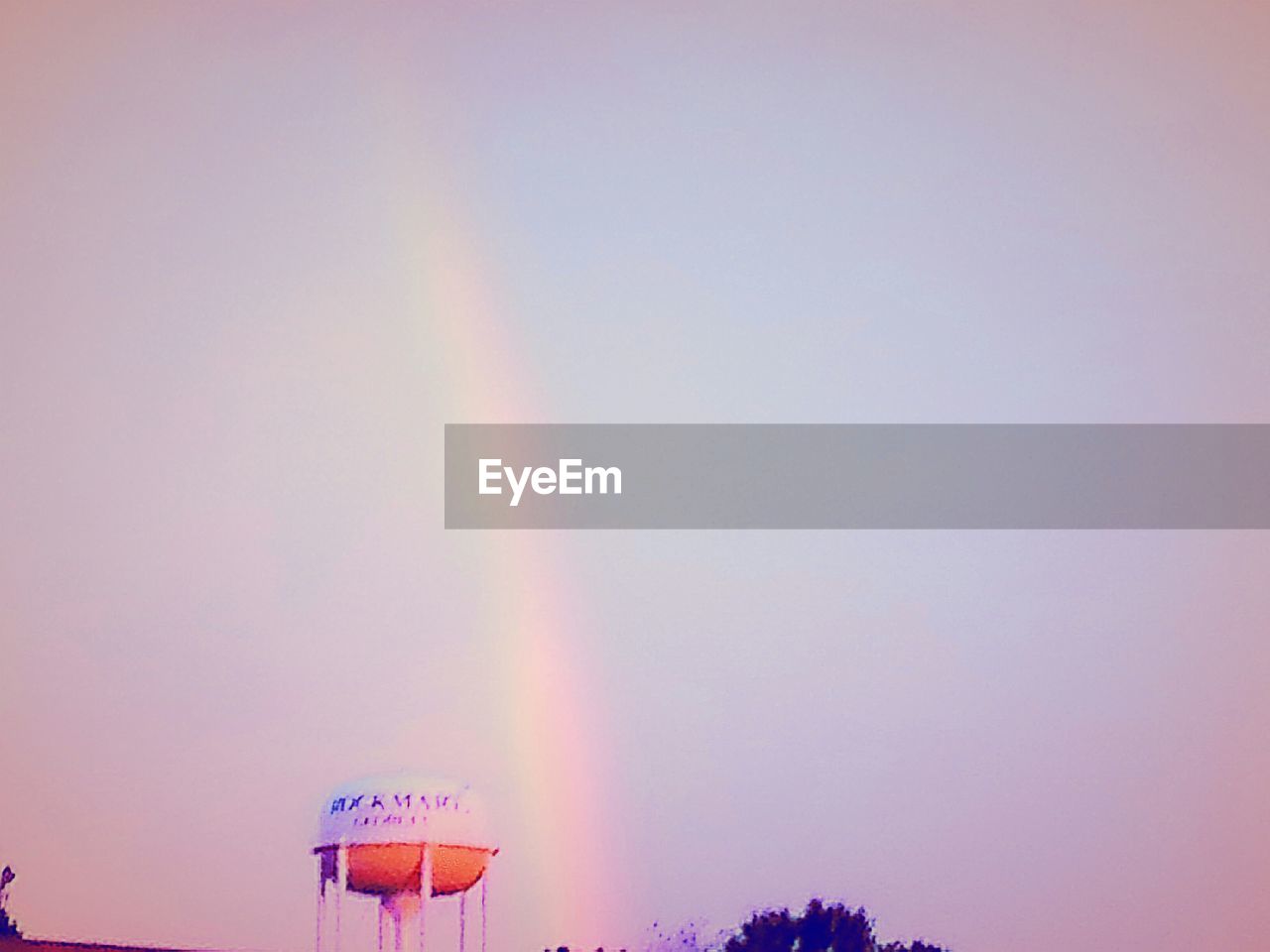 LOW ANGLE VIEW OF RAINBOW OVER TREES