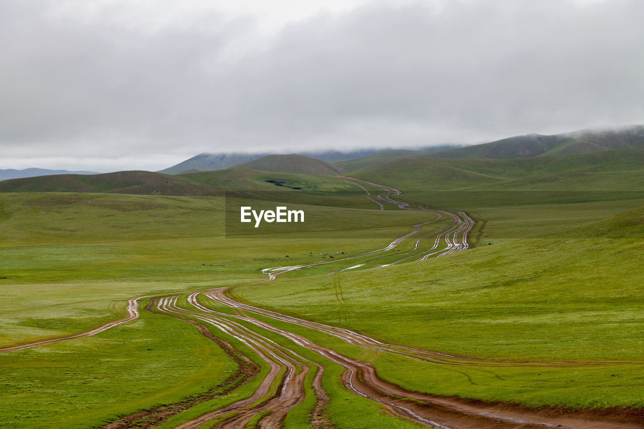 Multi-lane dirt road towards the misty hillside of the orkhon valley in mongolia.