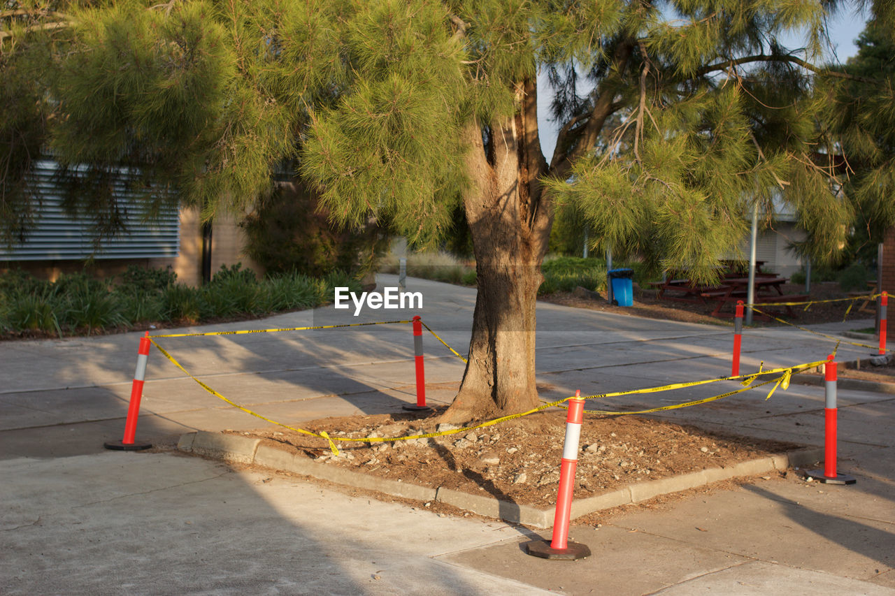 CONSTRUCTION SITE BY TREES