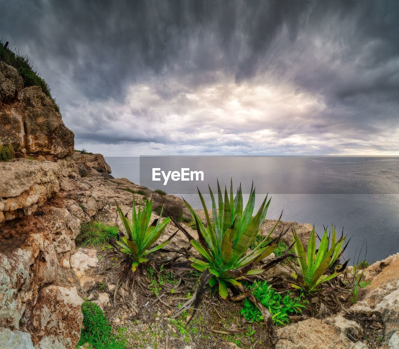 cloud, sky, water, nature, sea, coast, rock, environment, landscape, land, scenics - nature, beauty in nature, plant, beach, travel destinations, dramatic sky, no people, ocean, cloudscape, shore, travel, outdoors, tranquility, tree, storm, overcast, grass, storm cloud, tropical climate, tourism, cliff, seascape