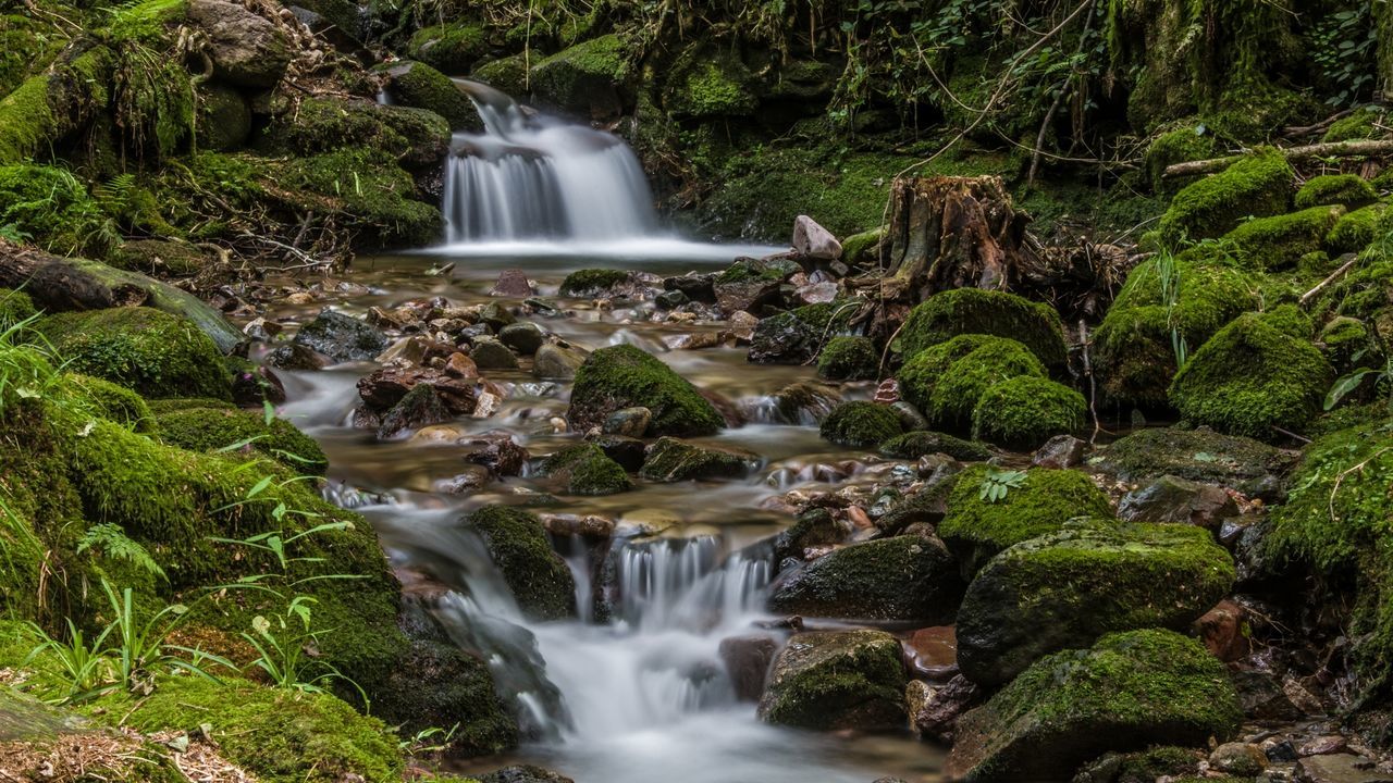 Scenic view of waterfall