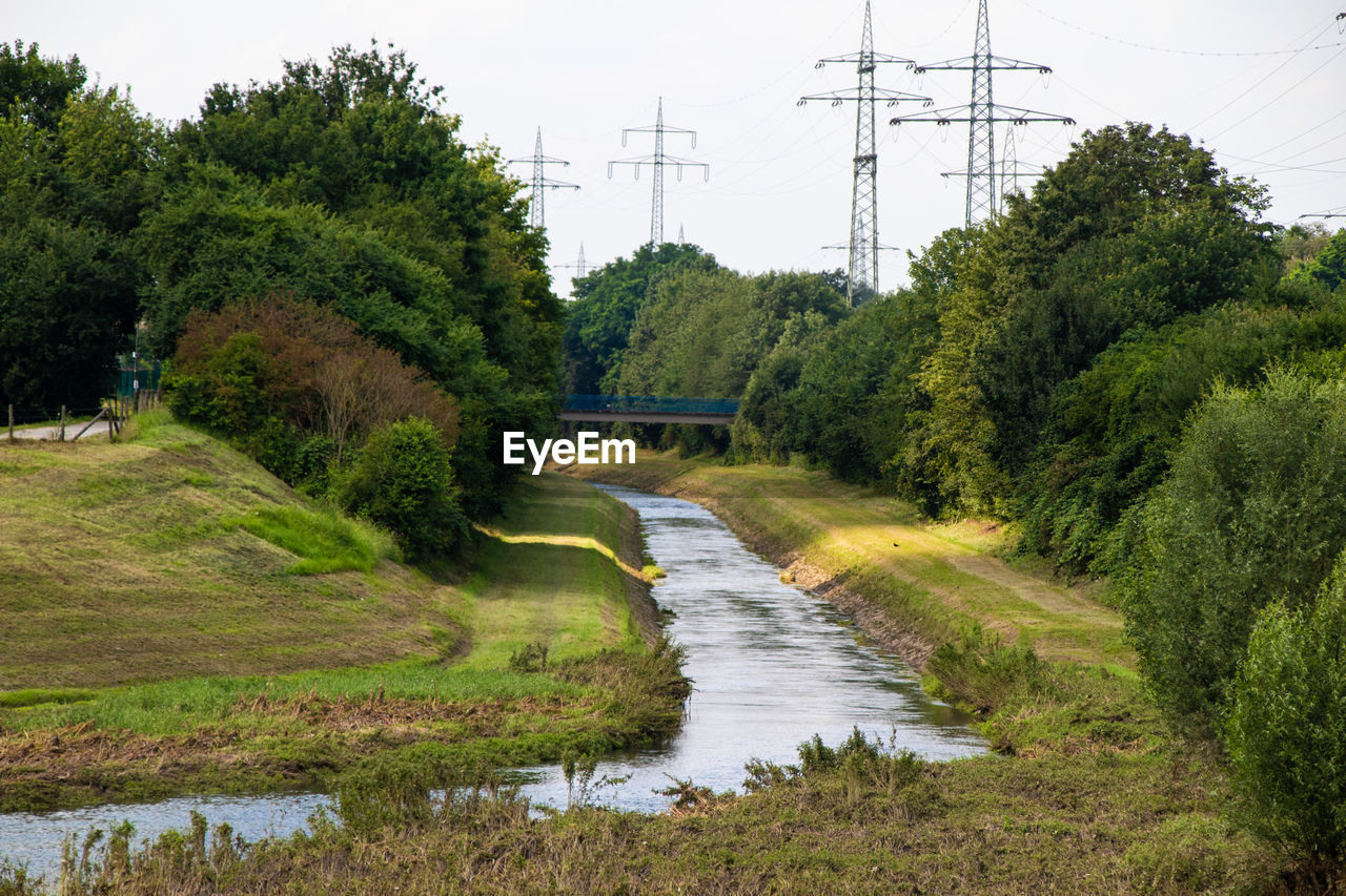 SCENIC VIEW OF STREAM AMIDST TREES AND PLANTS AGAINST SKY