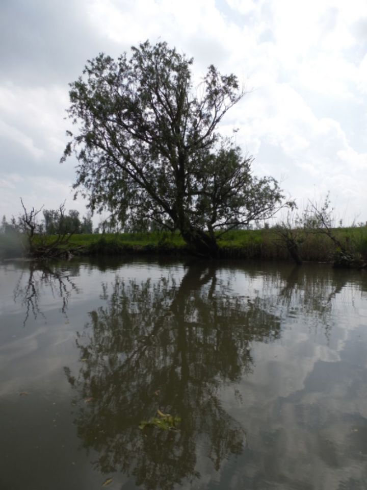 SCENIC VIEW OF LAKE AGAINST CLOUDY SKY