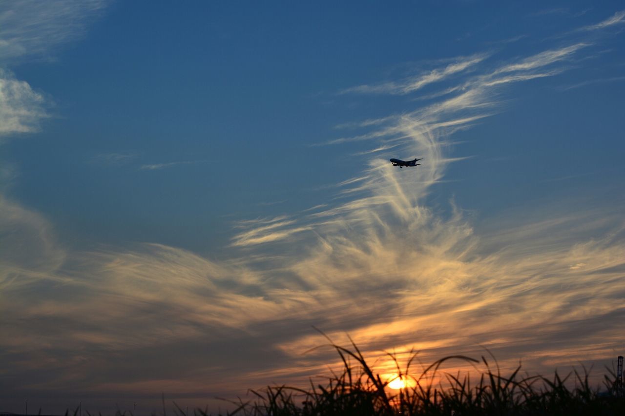 Low angle view of airplane in flight at sunset