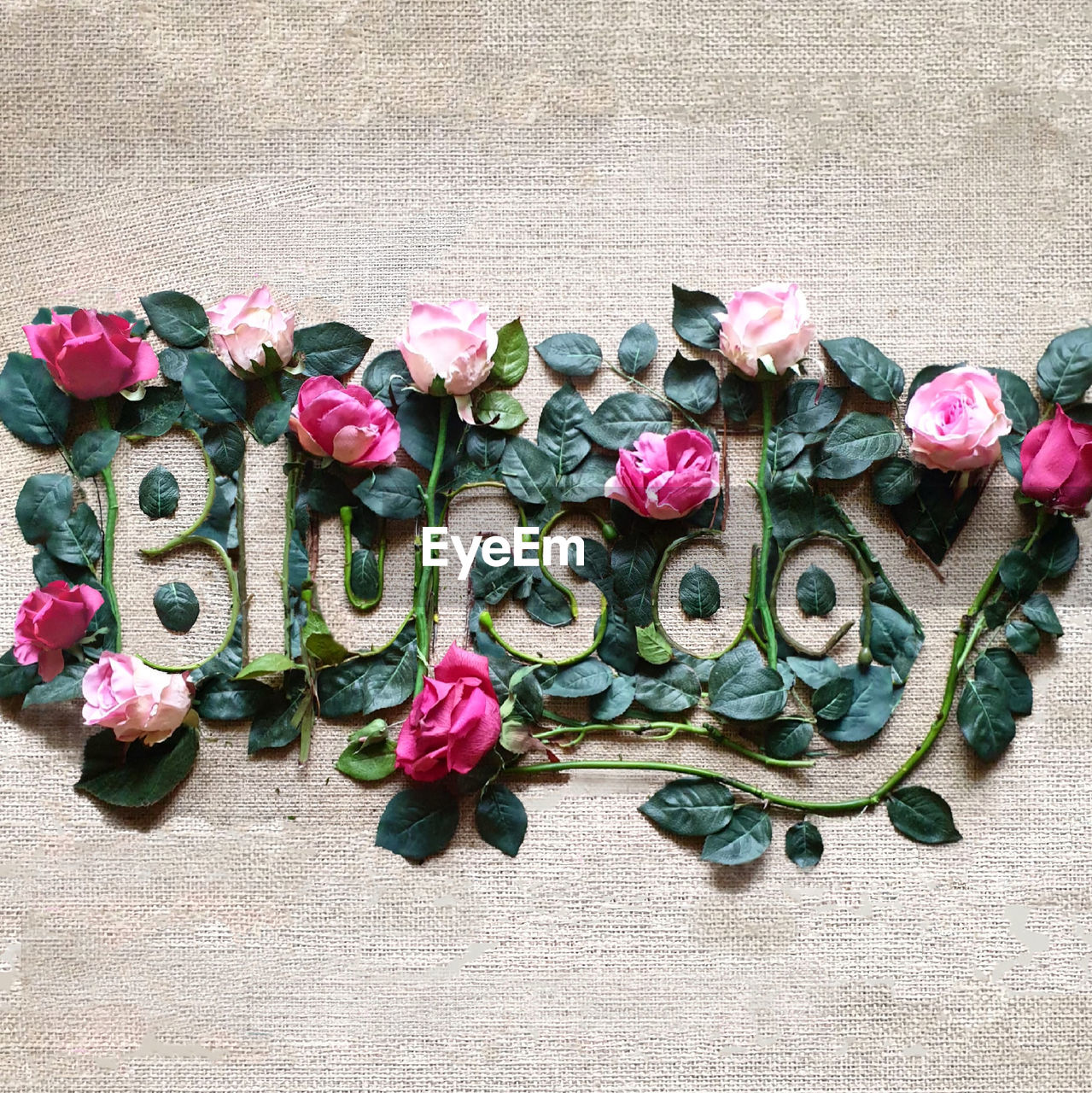 HIGH ANGLE VIEW OF PINK ROSES ON ROSE