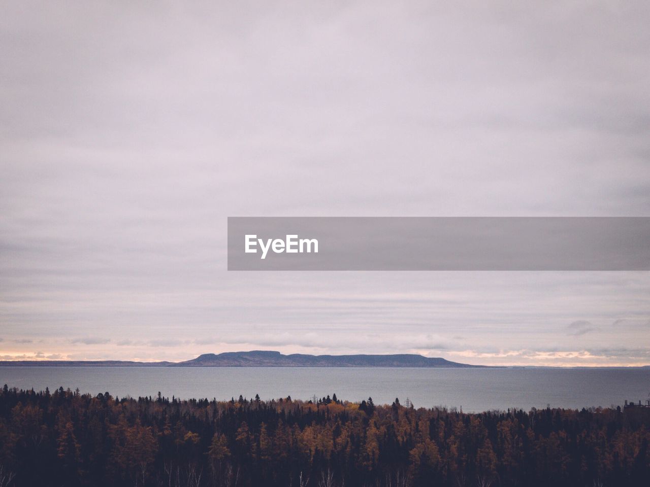 Trees by river and mountains in distant against cloudy sky