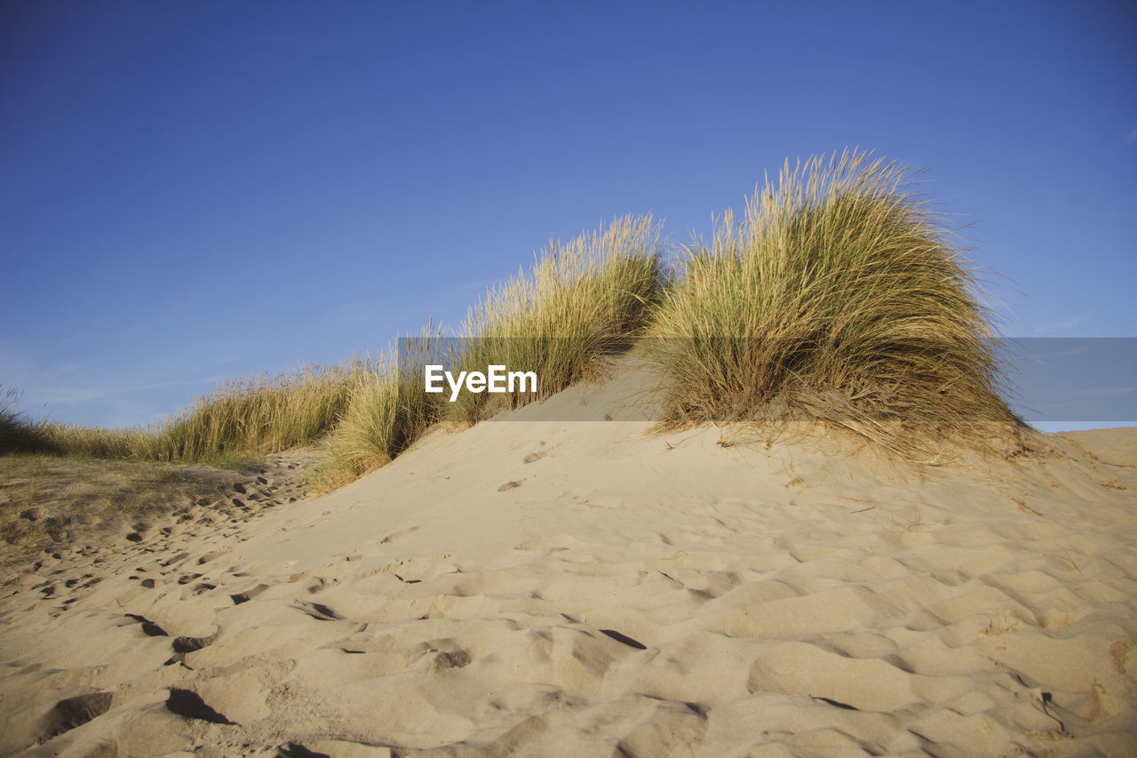 Dune at beach