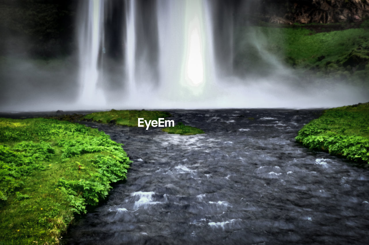 WATERFALL IN A FOREST