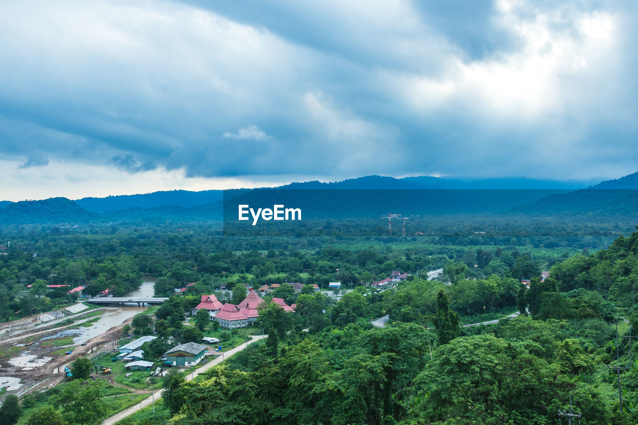 HIGH ANGLE VIEW OF TREES AND PLANTS AGAINST SKY