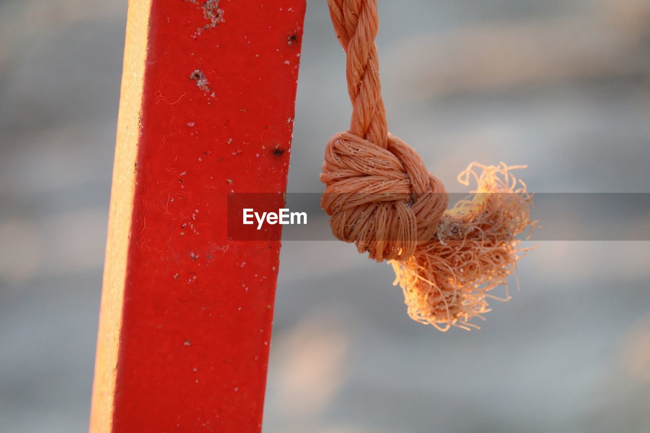 Close-up of tied knot on wooden pole