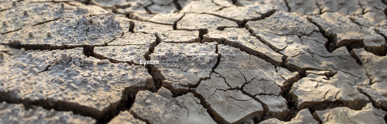 FULL FRAME SHOT OF DRY LEAVES ON FIELD