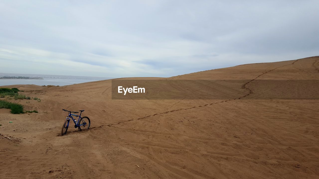 Rear view of people riding bicycle on sand