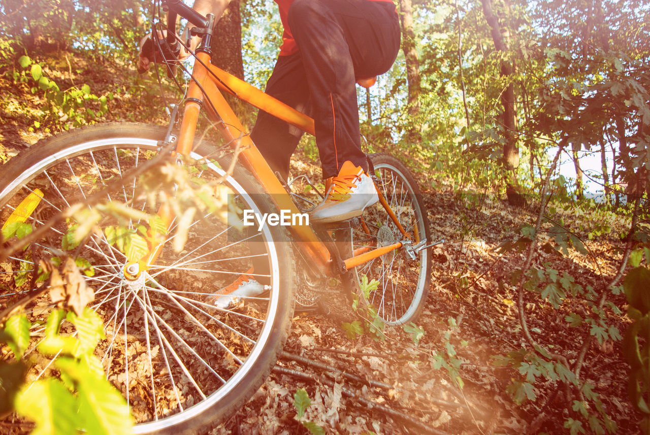 Man riding bicycle in forest