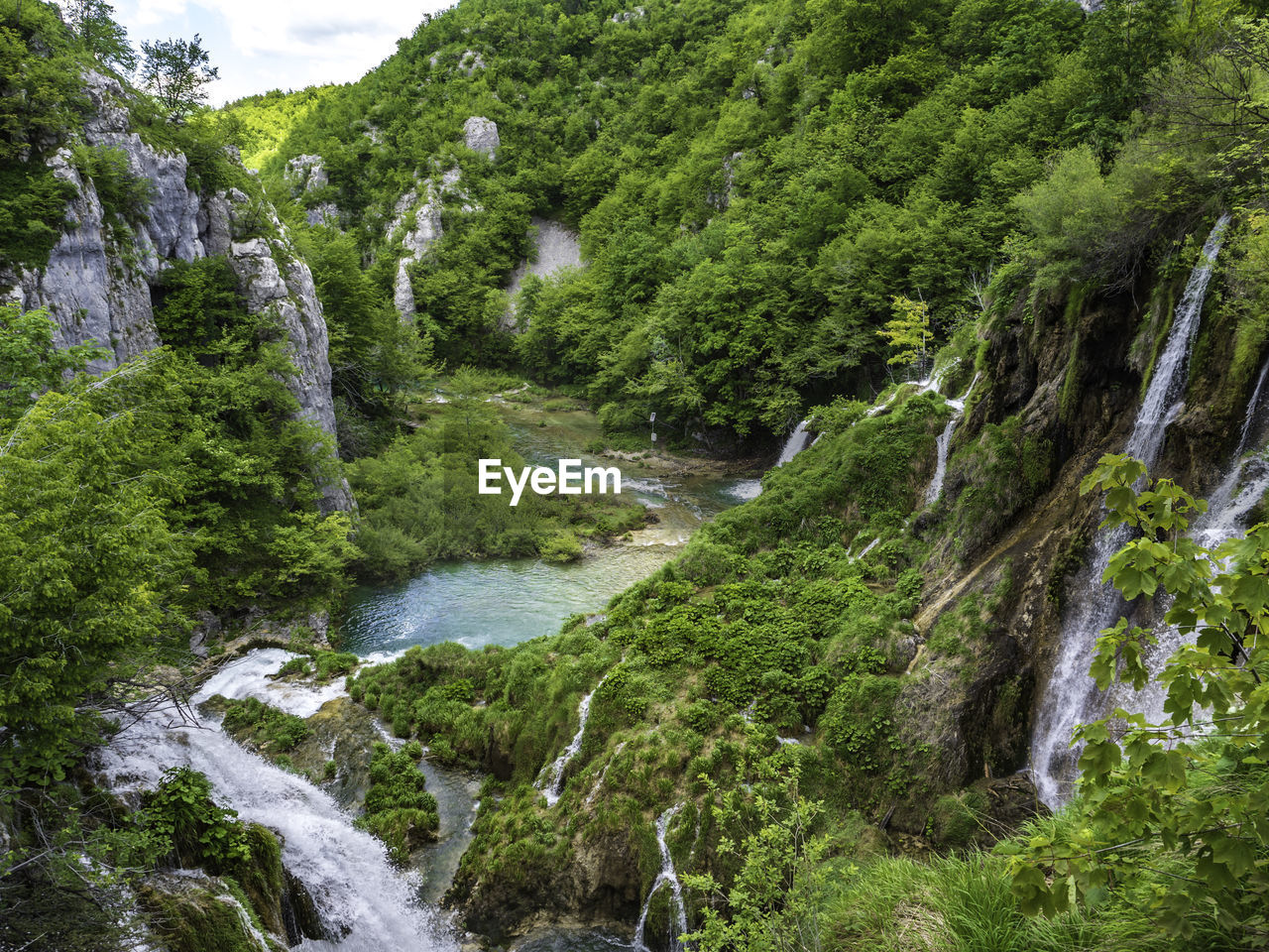 Scenic view of waterfall in forest