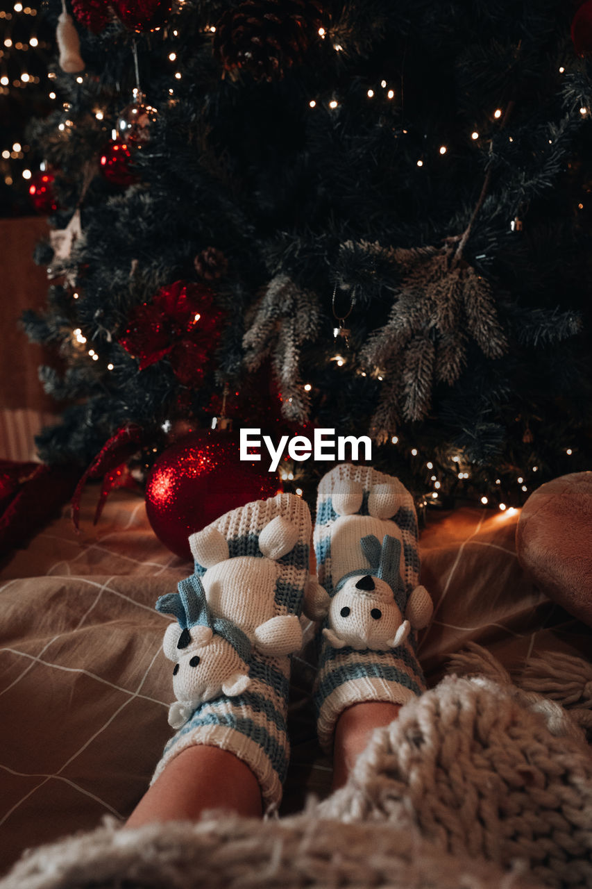 Female feet in knitted cozy teddy bear socks on the background of the christmas tree.