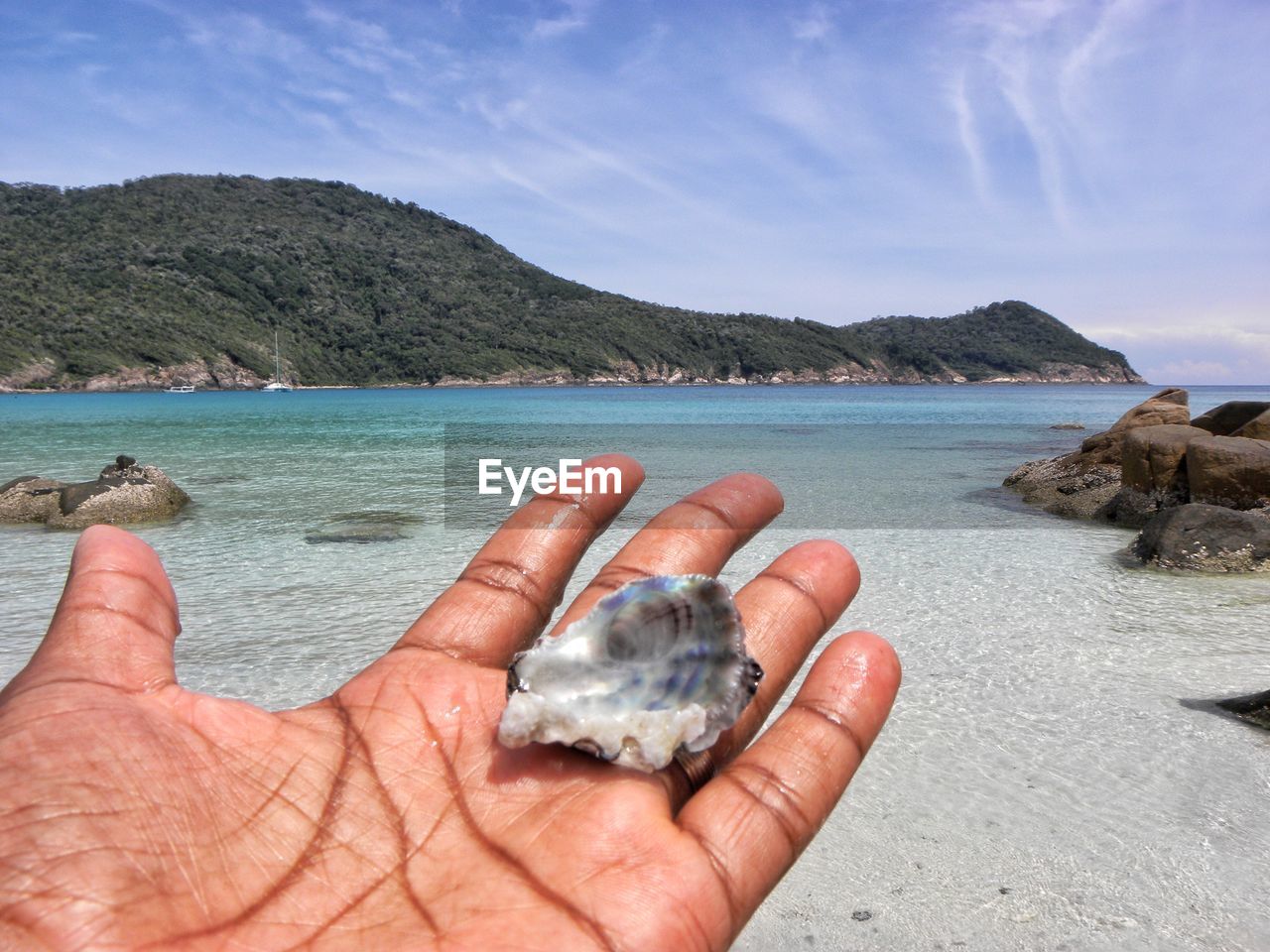 Close-up of hand holding shell on beach