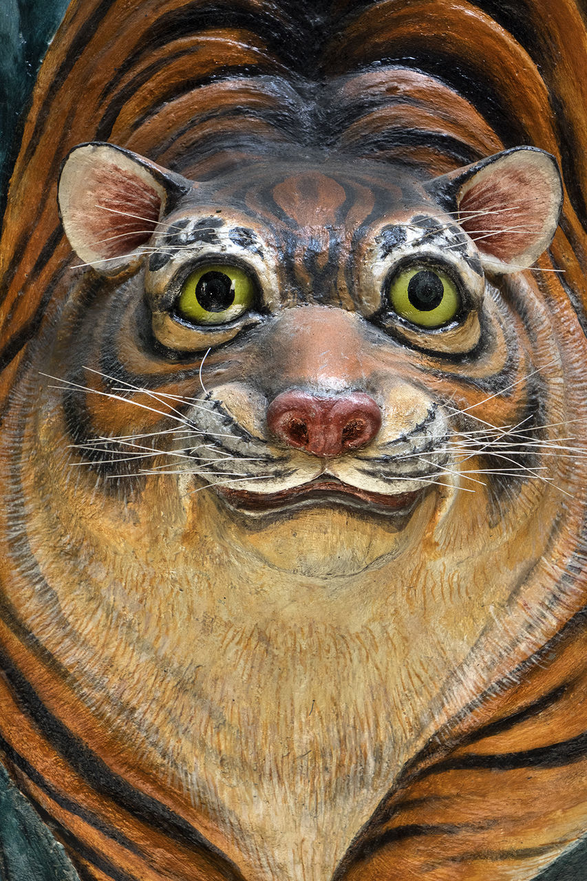 CLOSE-UP PORTRAIT OF AN ANIMAL