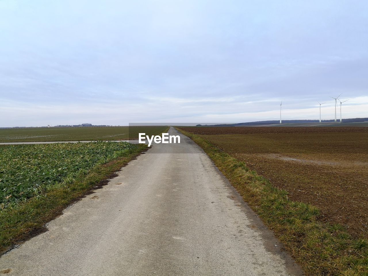 EMPTY ROAD AMIDST FIELD