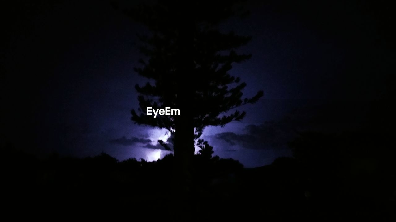 LOW ANGLE VIEW OF SILHOUETTE TREE AGAINST SKY