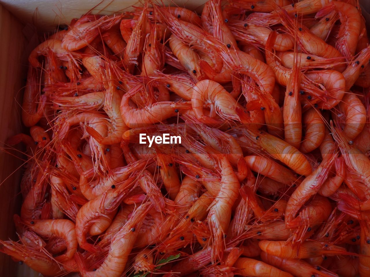 Full frame shot of shrimps in market