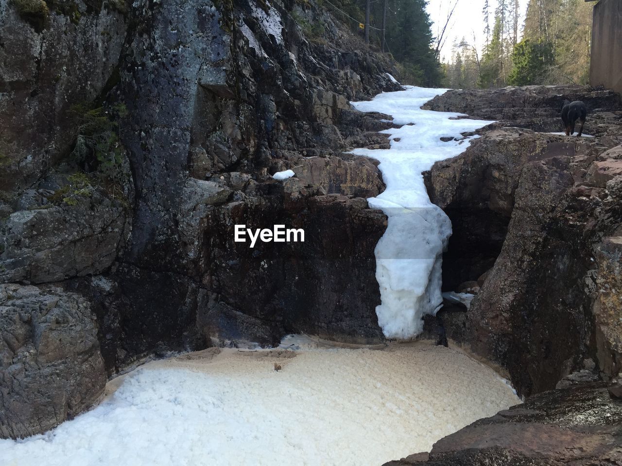 Frozen stream in forest