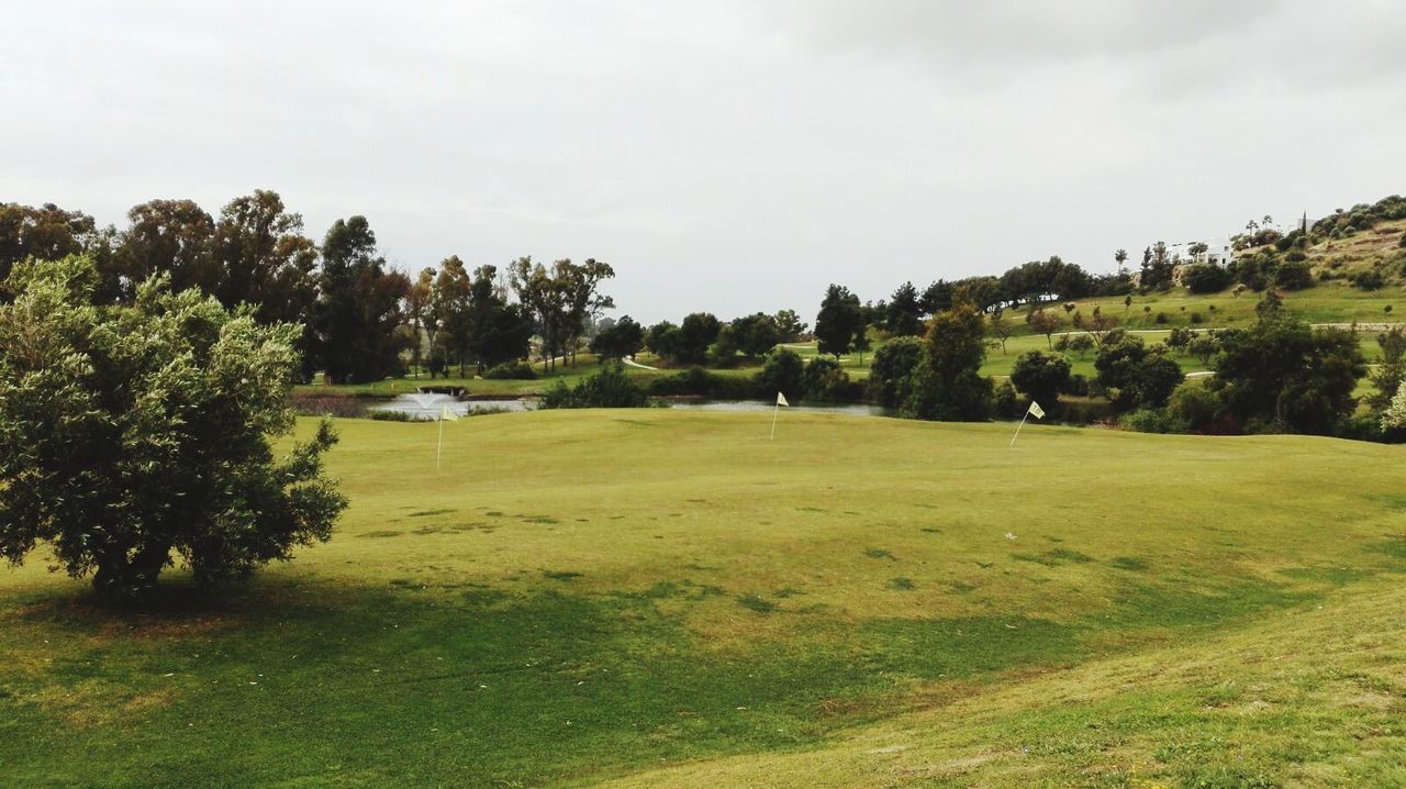 TREES ON GOLF COURSE AGAINST SKY