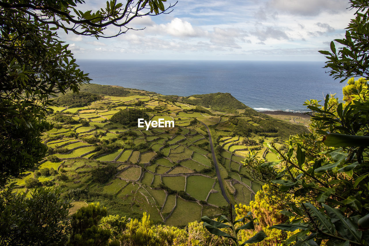 Azores islands, landscape with green vegetation, flores, travel destination for hiking.