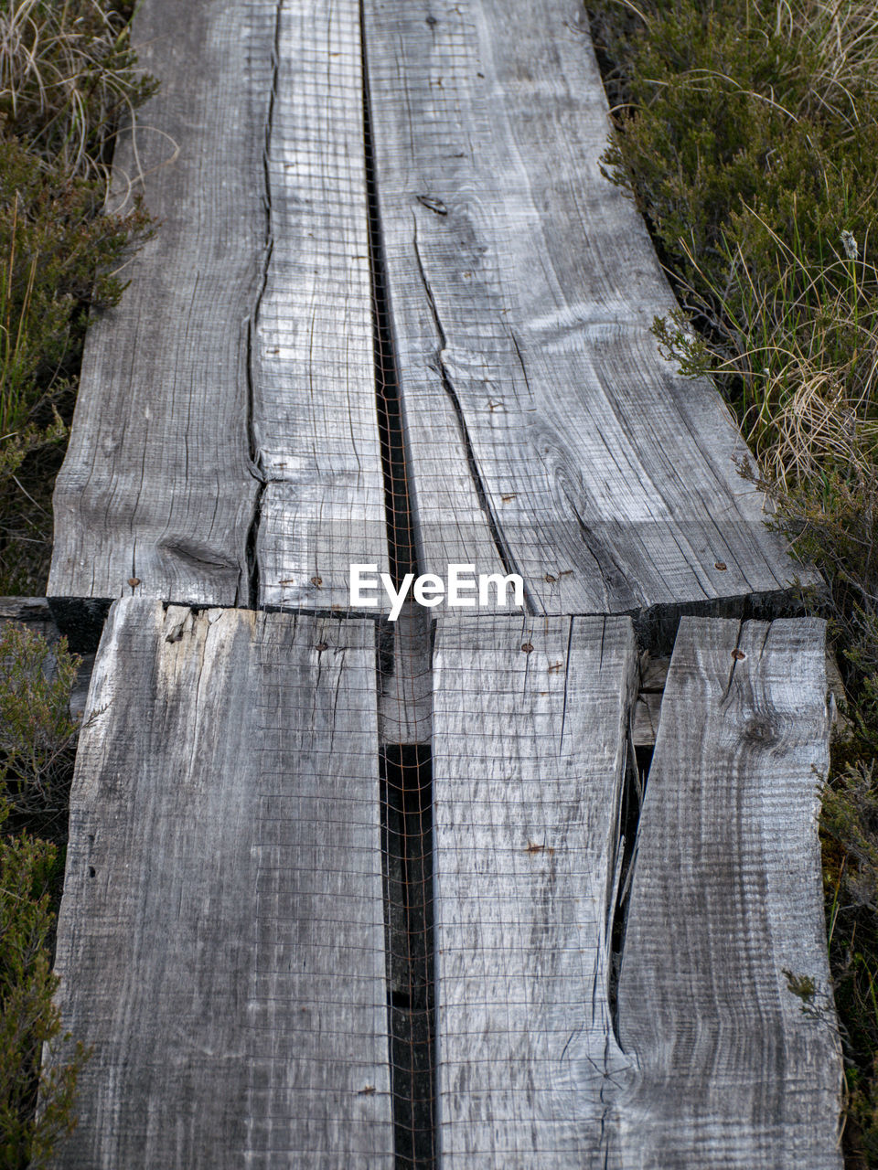 wood, plant, no people, day, high angle view, nature, outdoors, grass, wall, tree, land, outdoor structure, architecture, built structure, pattern, walkway