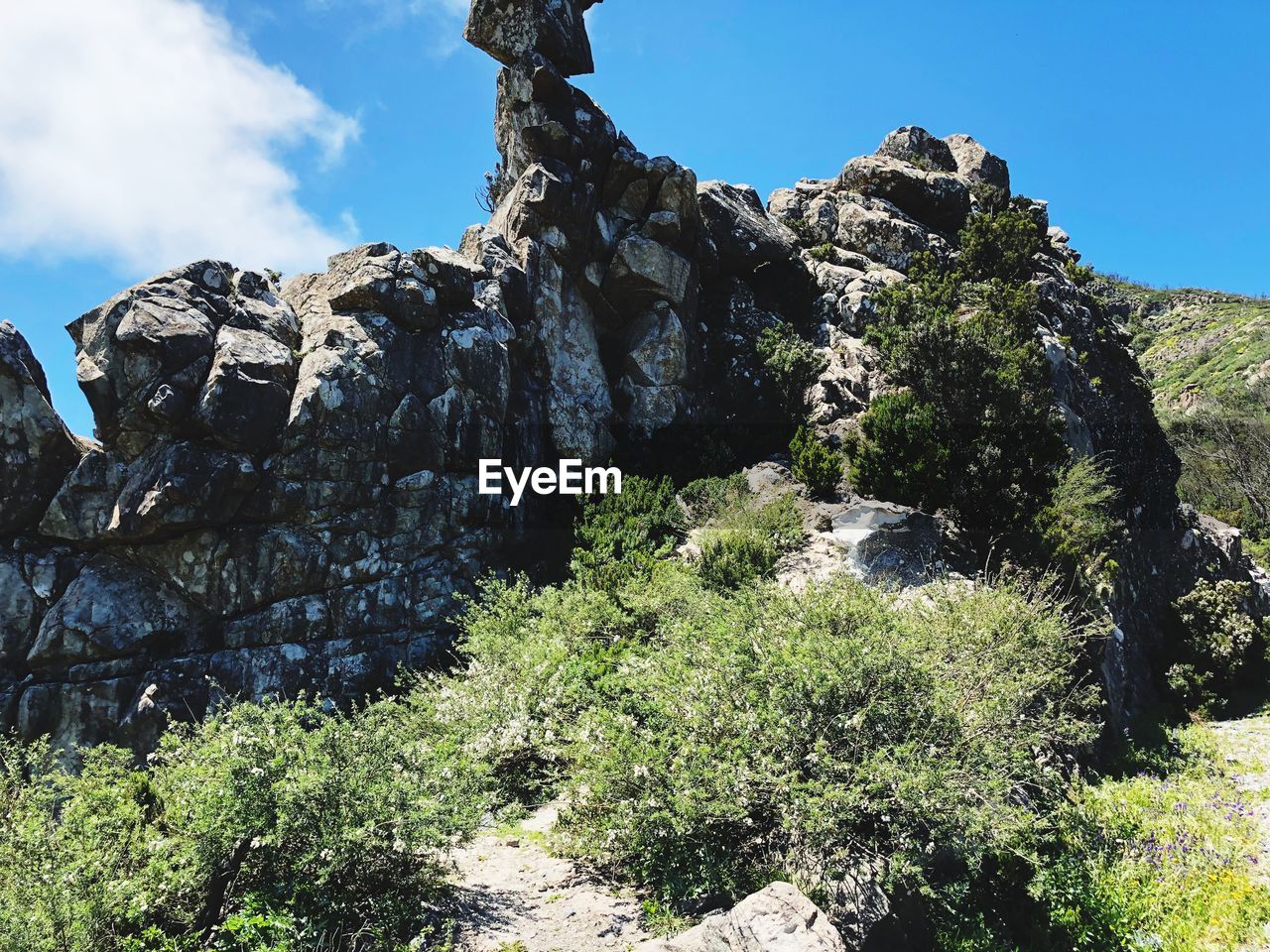 Low angle view of rocks and plants against sky