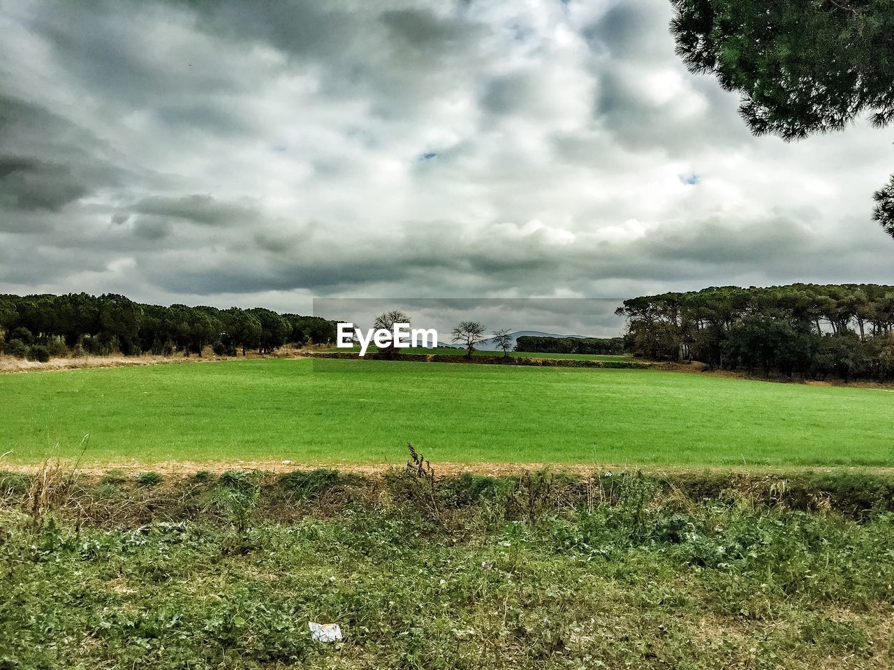 Scenic view of landscape against cloudy sky