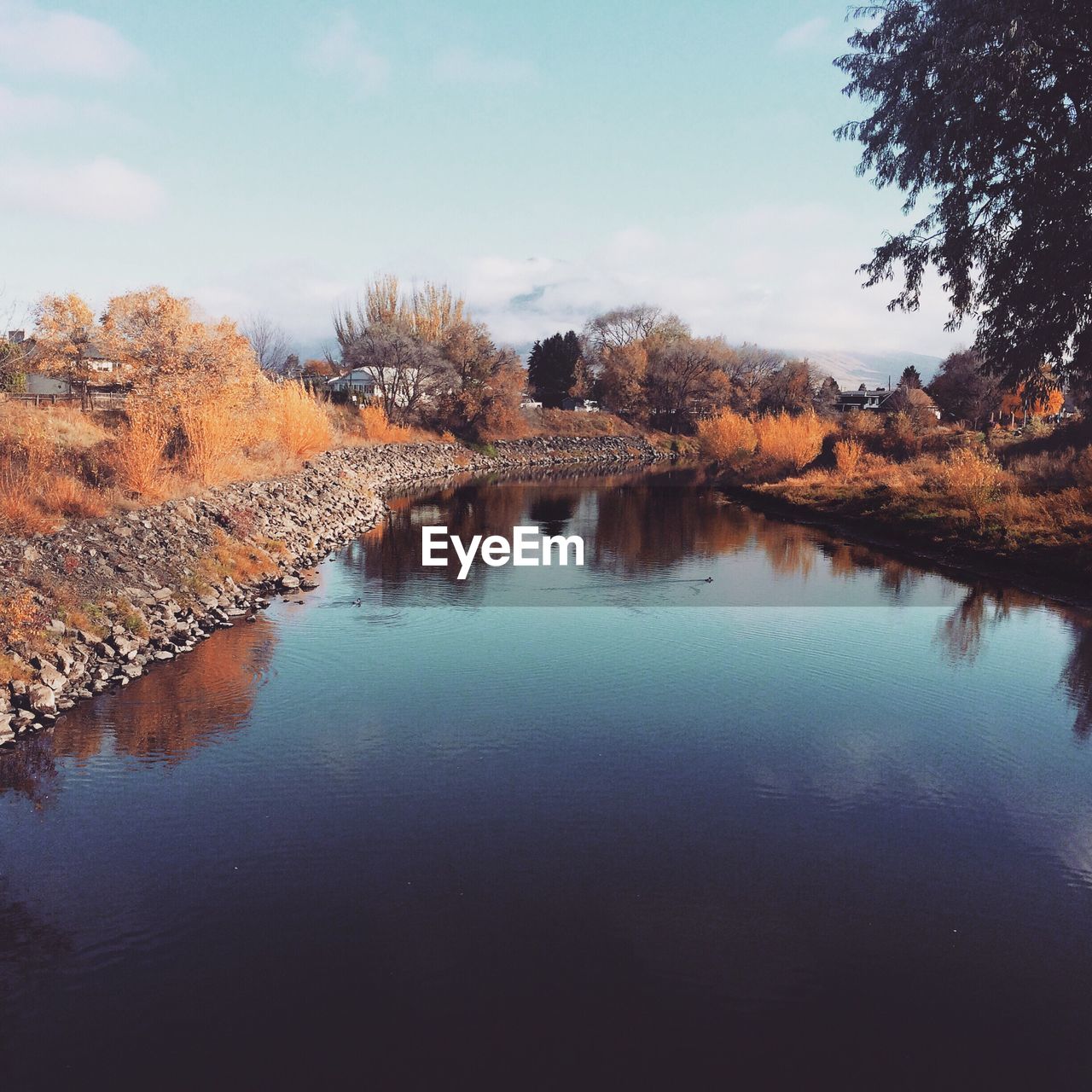 Scenic view of river by plant against sky during autumn