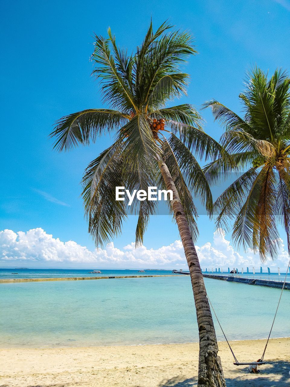 Palm trees at beach against blue sky