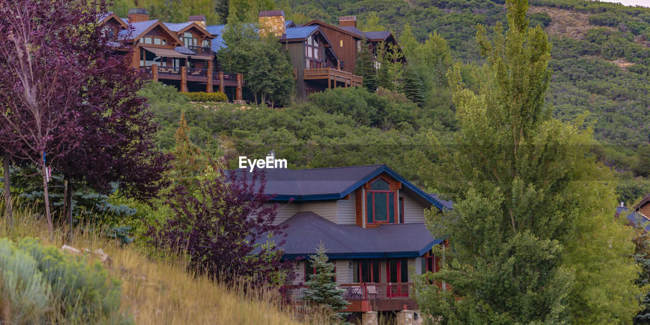 HOUSE AMIDST TREES AND PLANTS GROWING ON FIELD IN FOREST