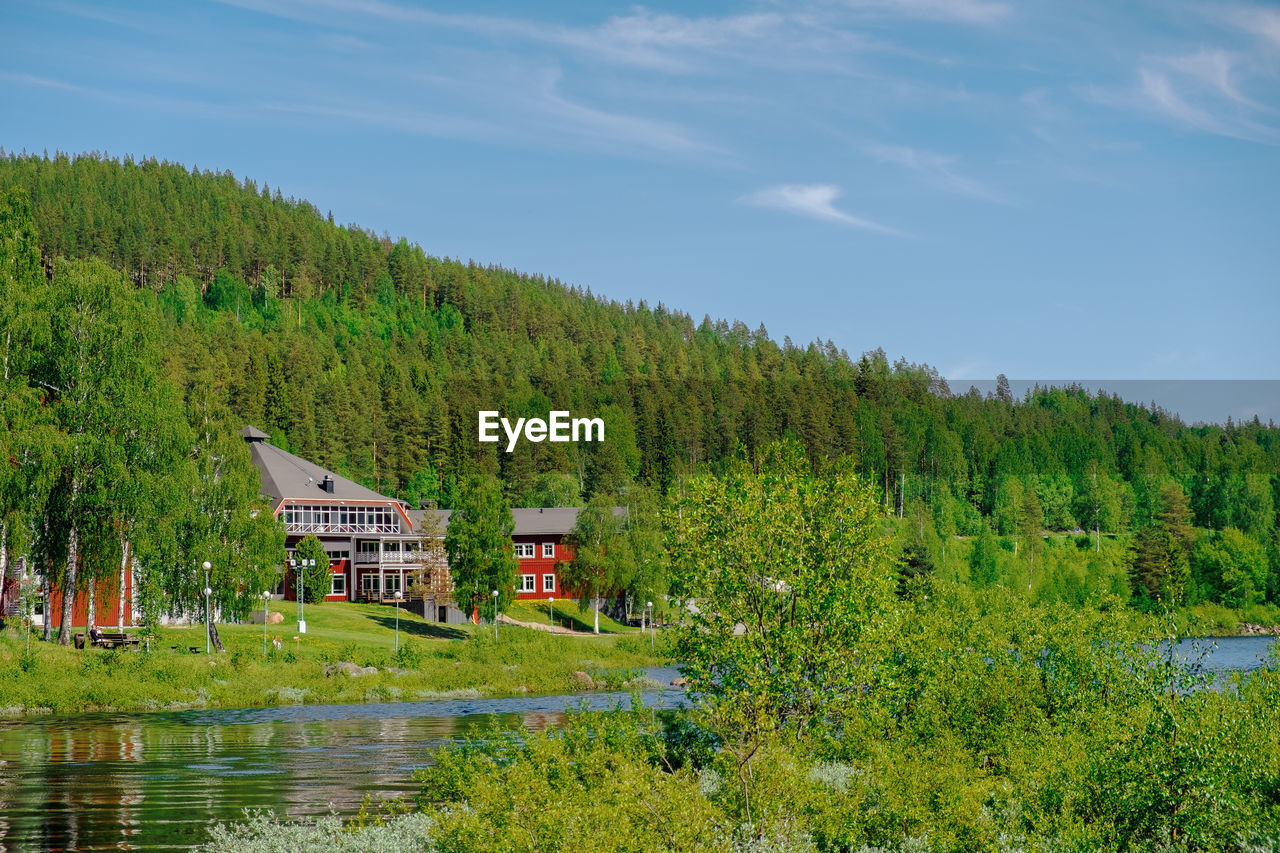 Scenic view of lake by trees against sky