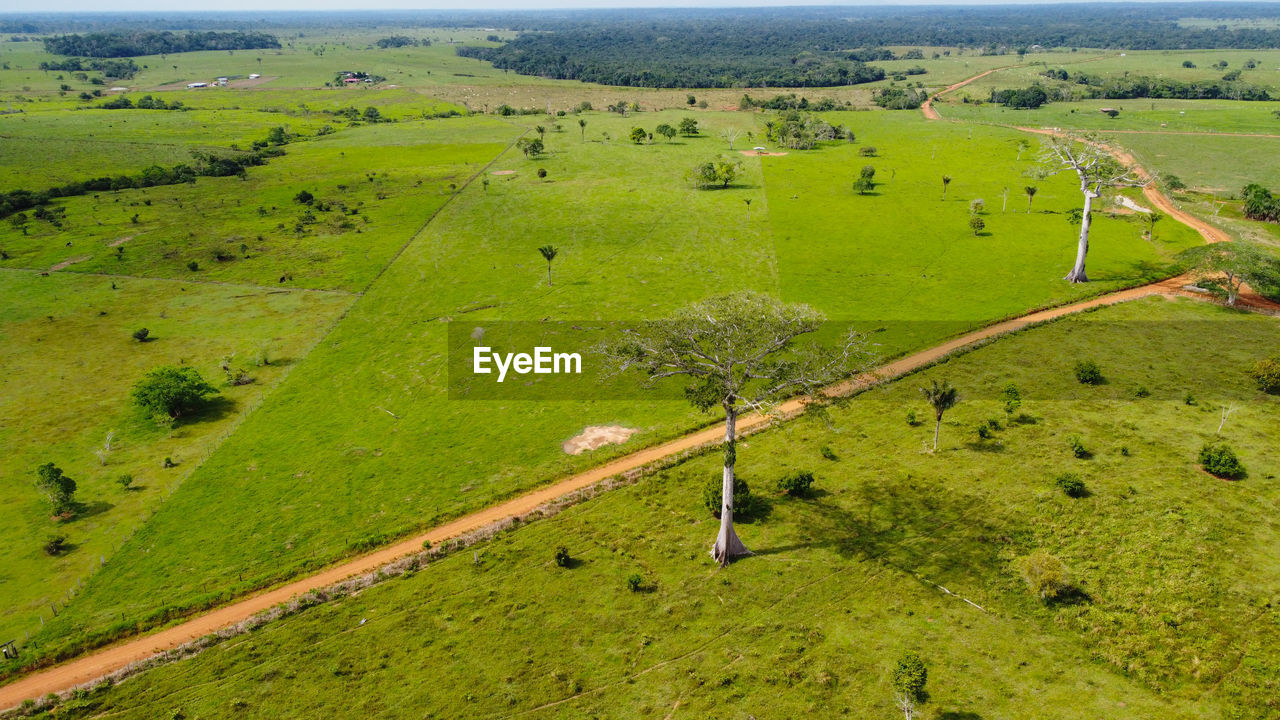 high angle view of people on grassy field