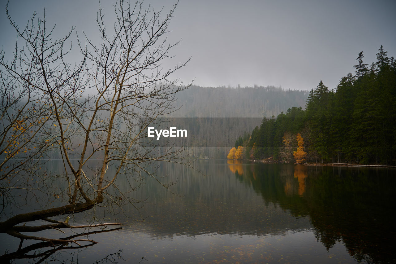 REFLECTION OF TREES IN LAKE AGAINST SKY