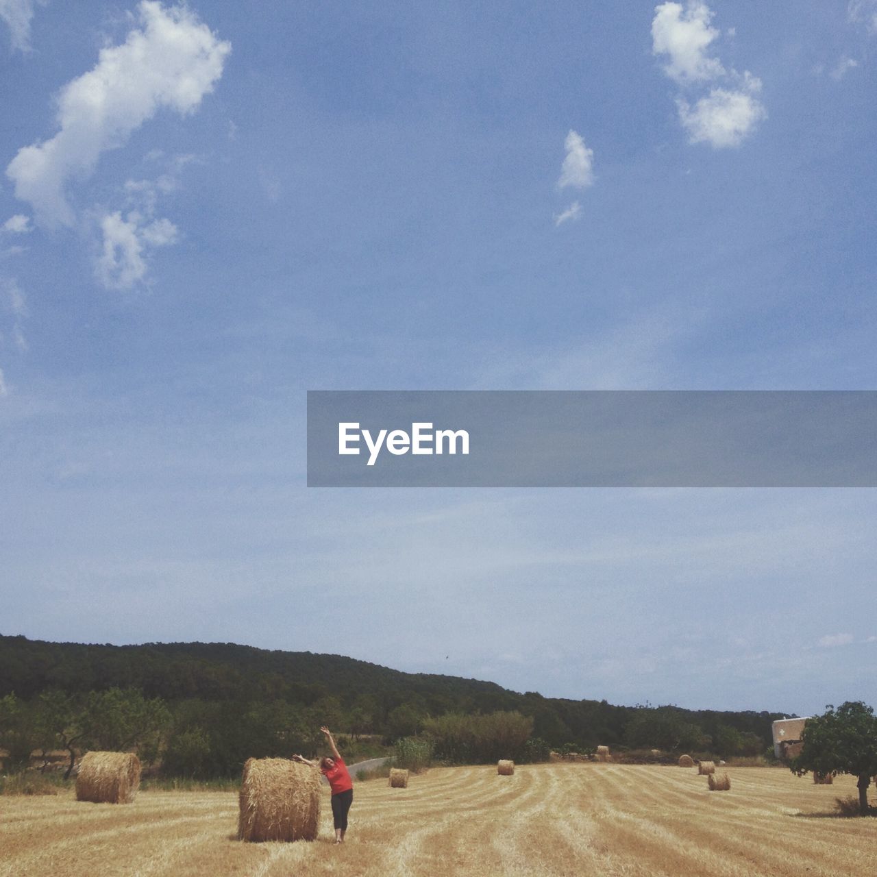 A field with hay stacks