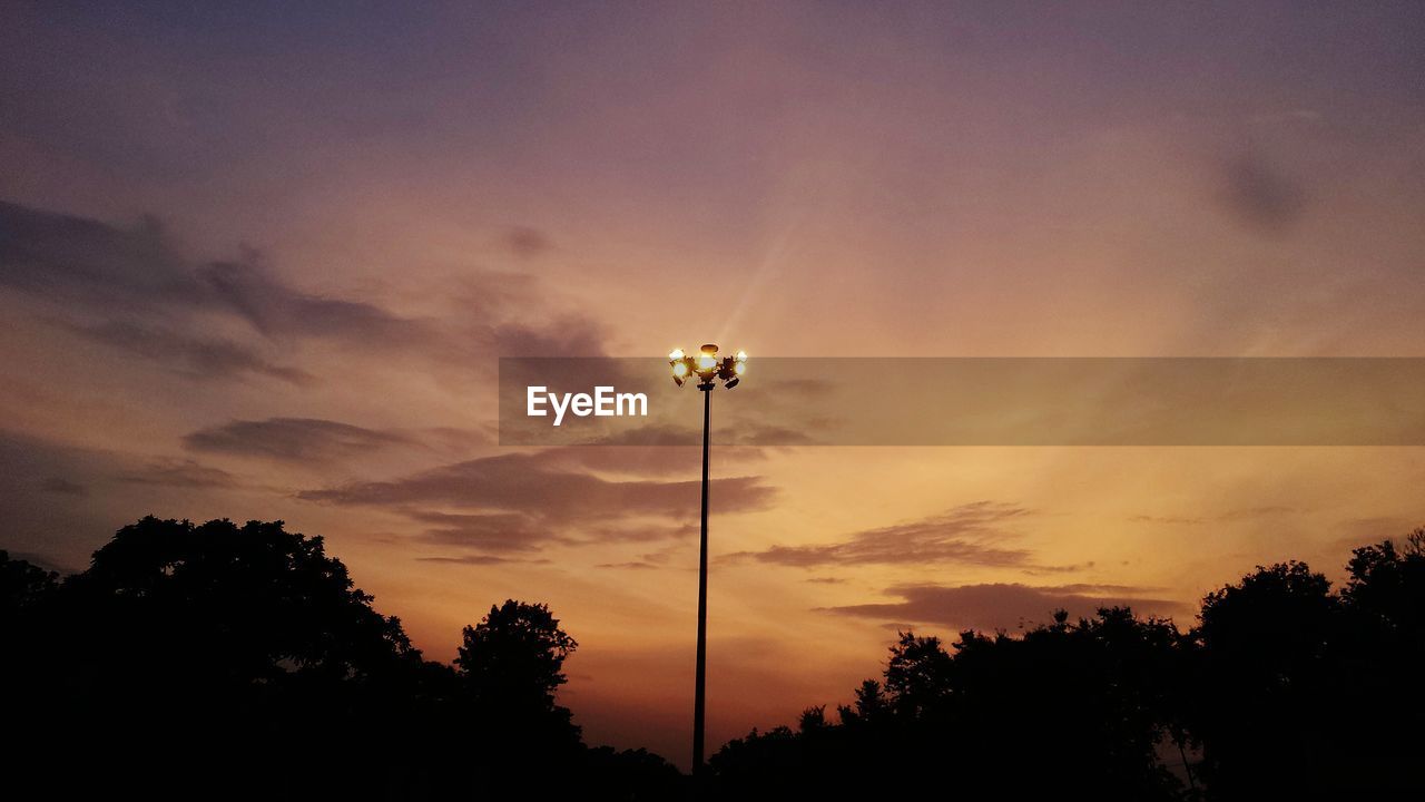 LOW ANGLE VIEW OF SILHOUETTE TREE AGAINST SKY