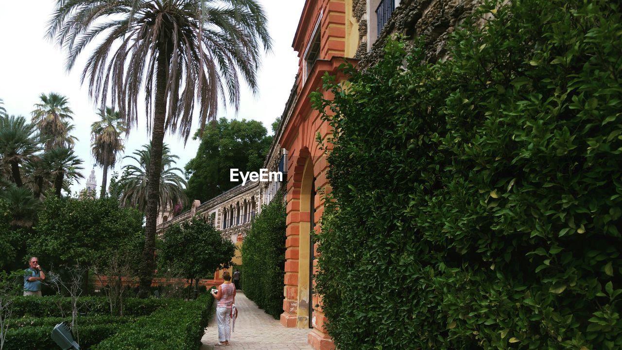 PEOPLE WALKING BY PALM TREES AND PLANTS