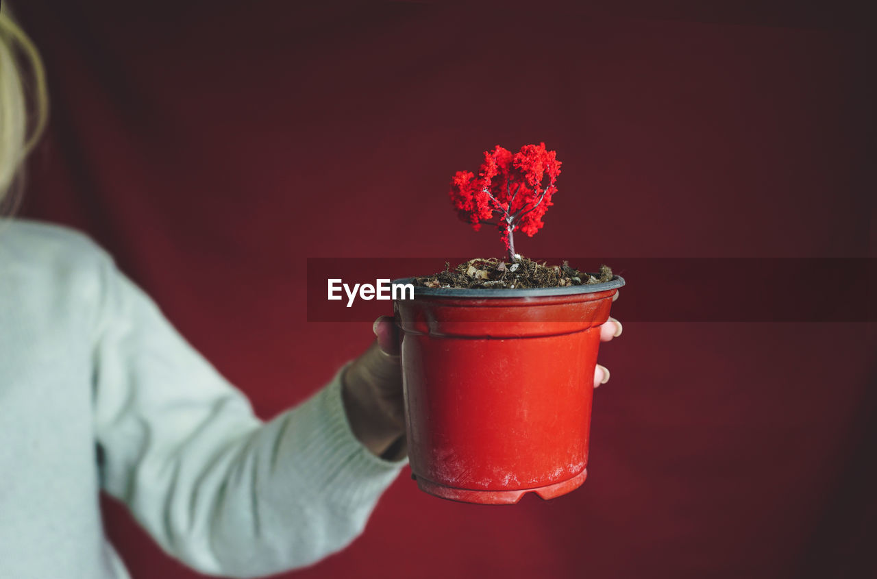 Midsection of woman holding potted plant against red background