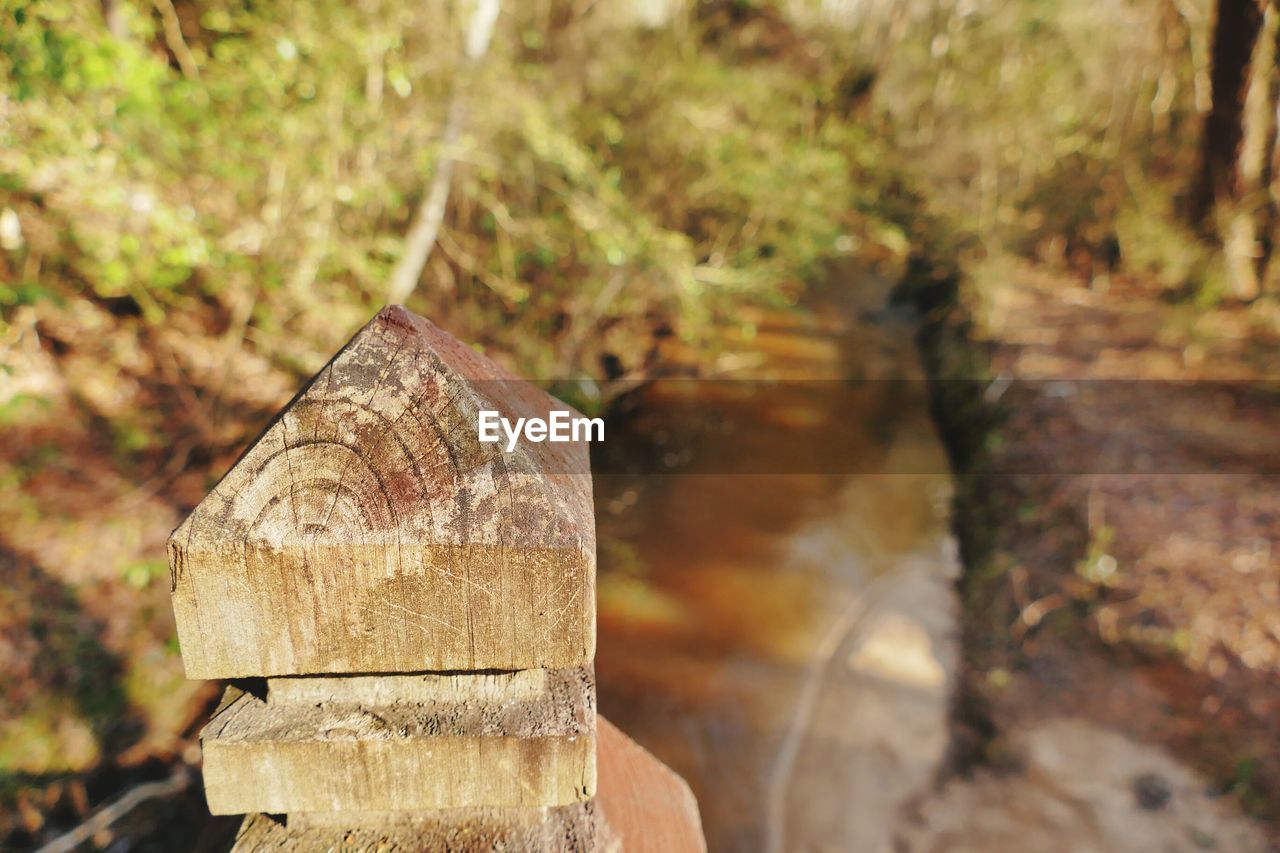 Close-up of wood against field