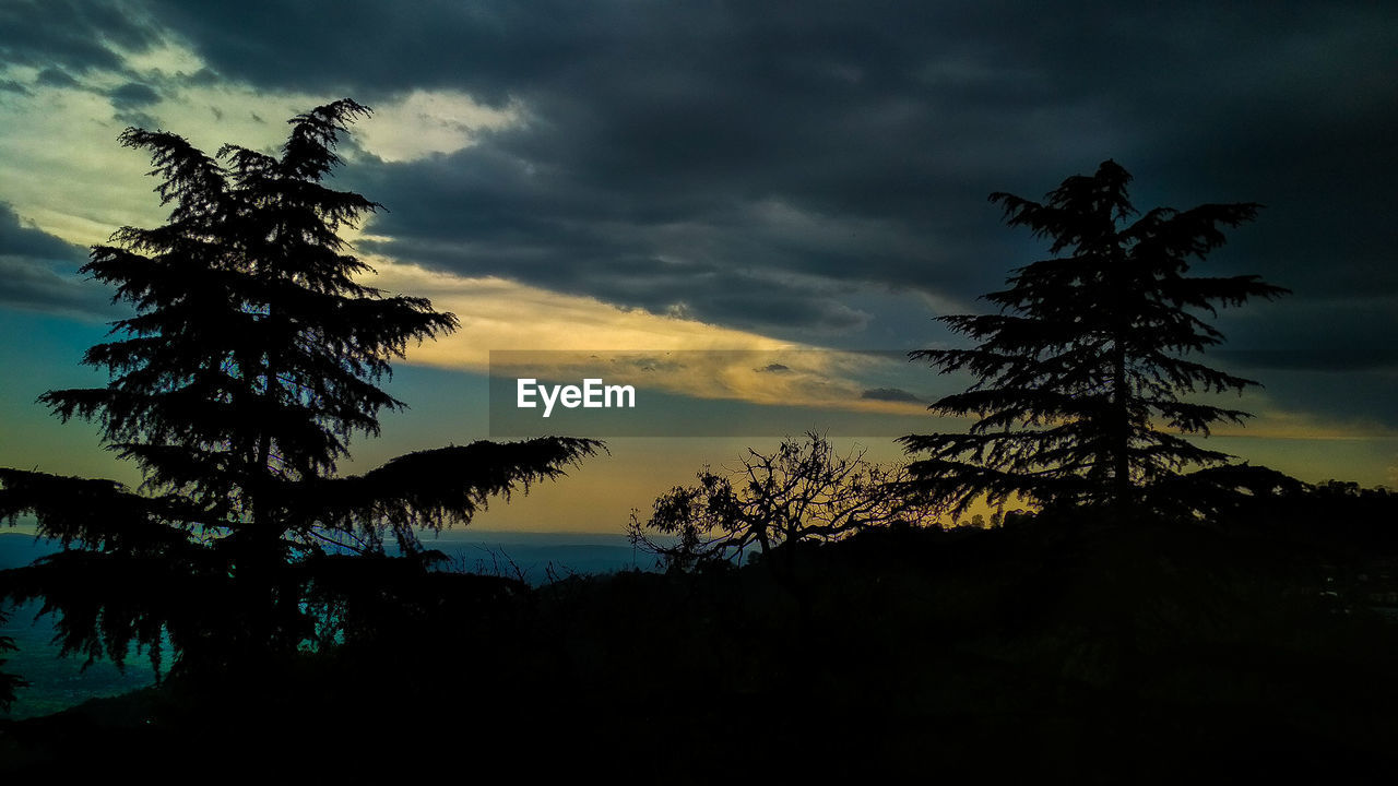 SILHOUETTE TREES AGAINST SKY AT SUNSET