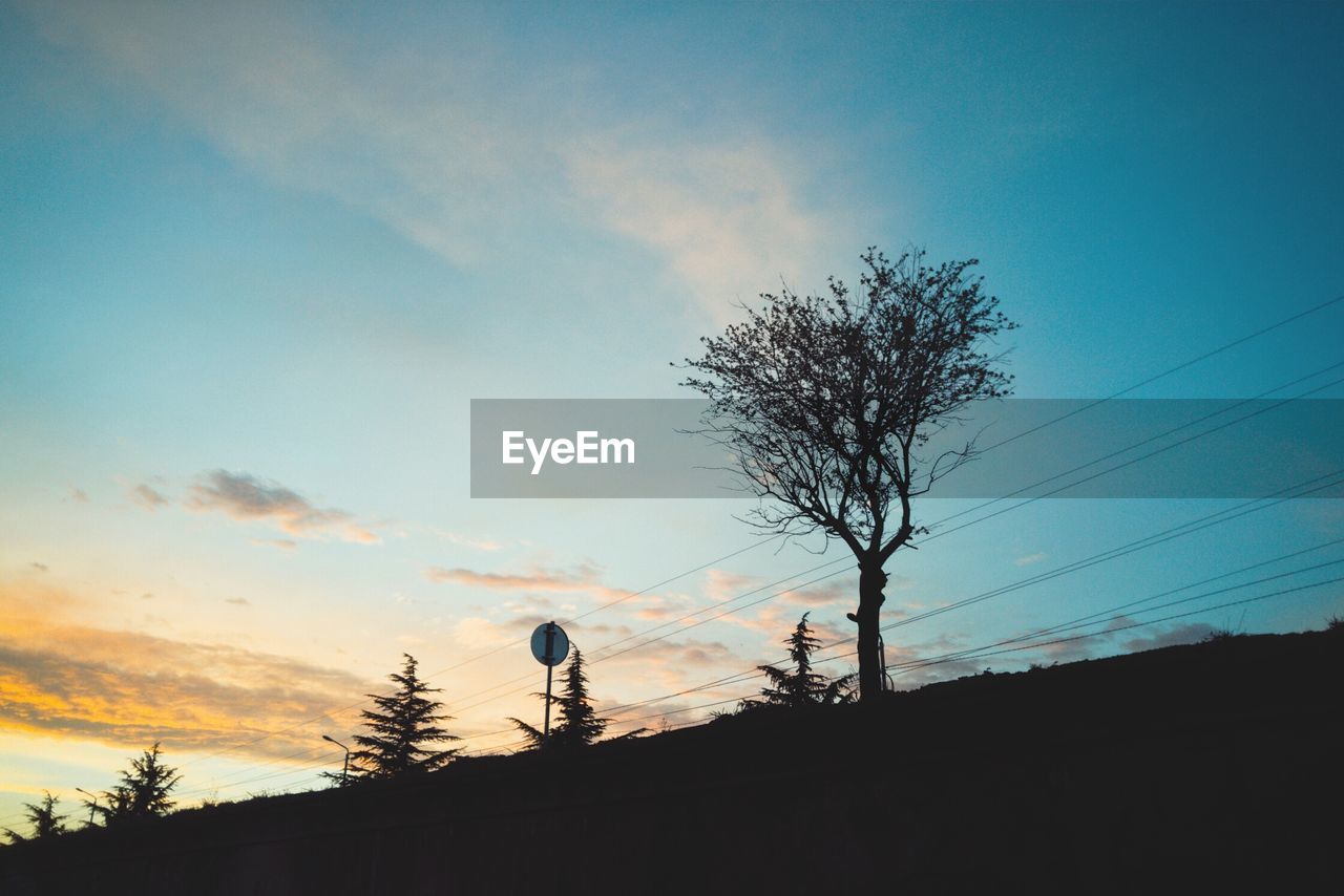 Low angle view of silhouette bare trees against sky