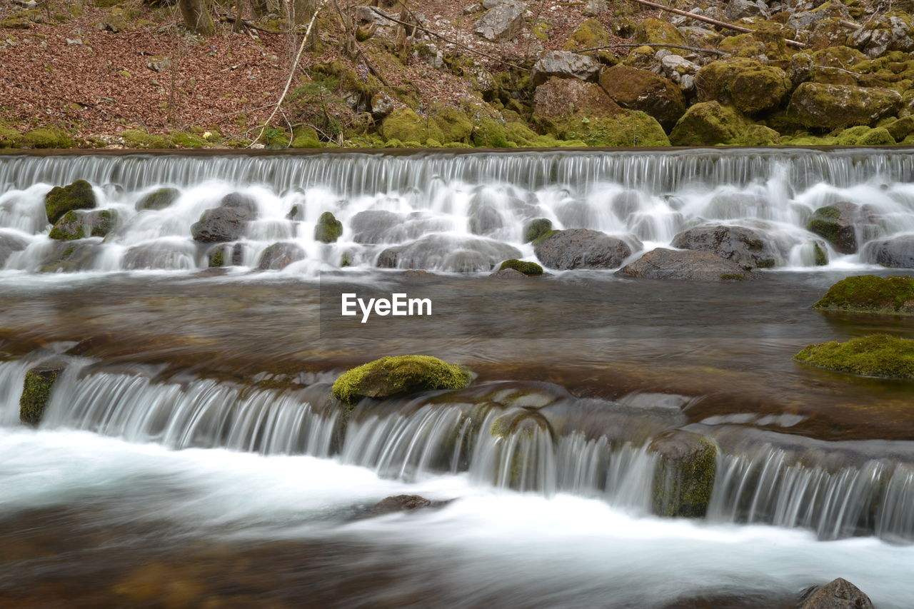 WATERFALL IN FOREST