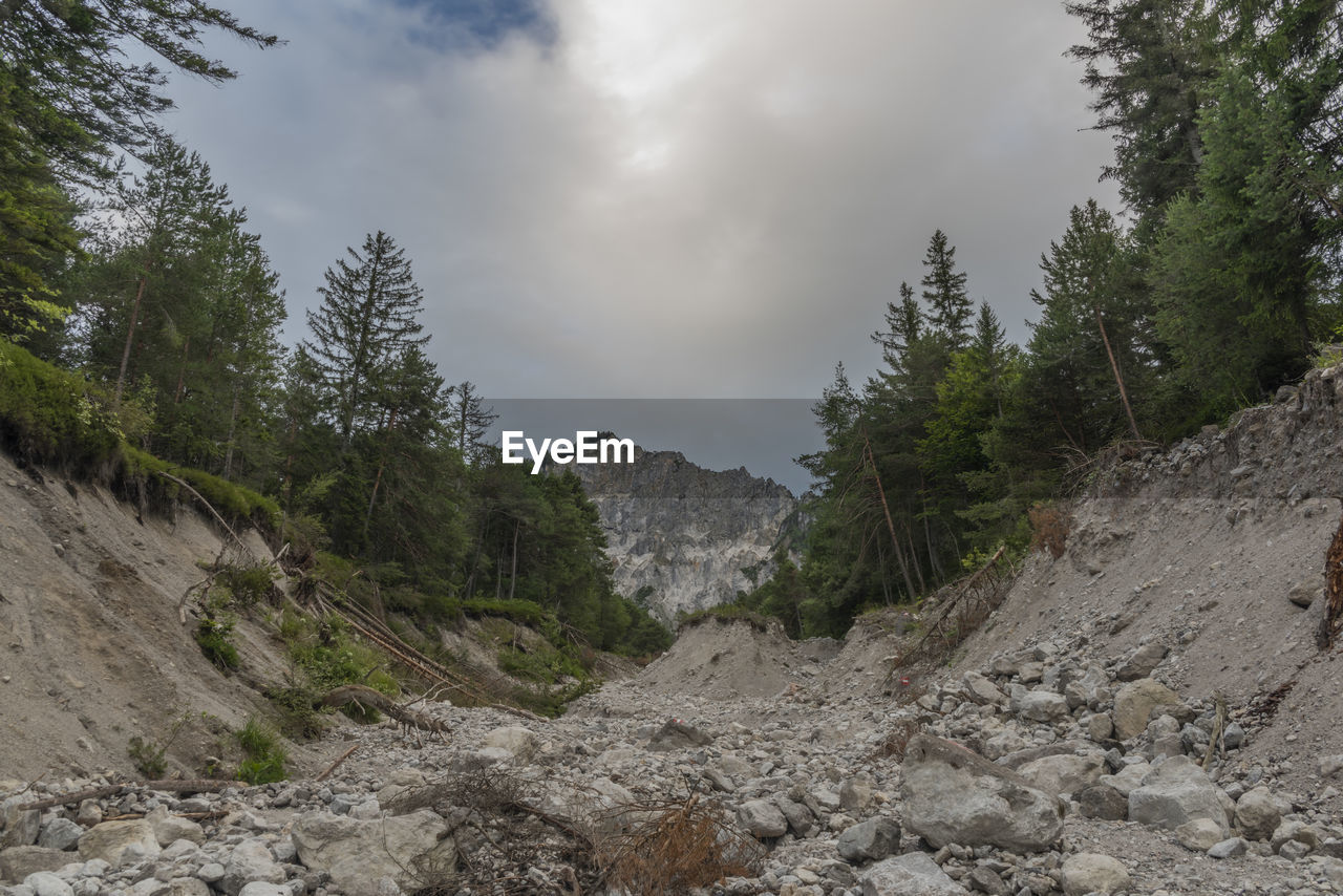 SCENIC VIEW OF TREES AND MOUNTAIN AGAINST SKY