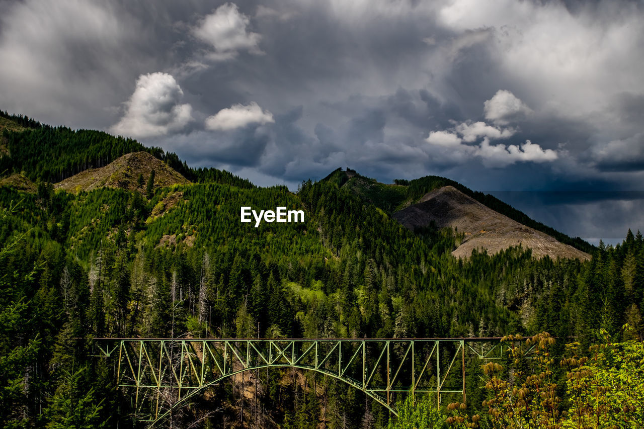 Panoramic view of trees on mountain against sky